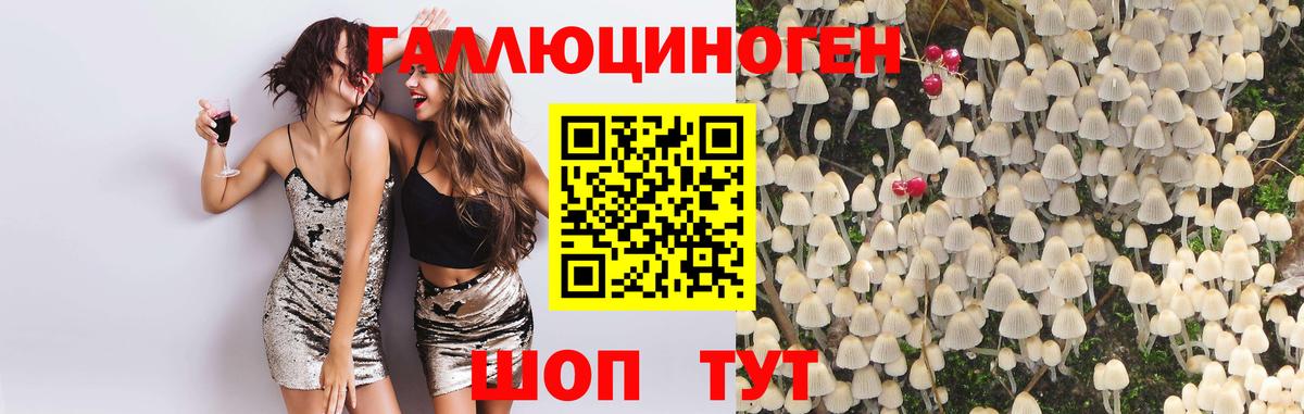 Галлюциногенные грибы GOLDEN TEACHER Хабаровск